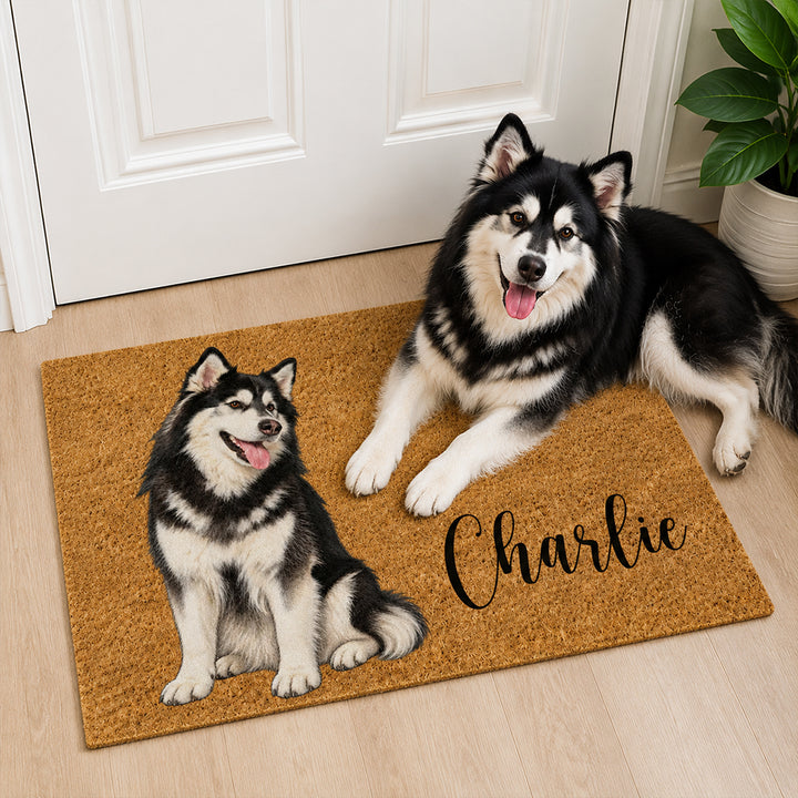 Personalized Watercolor Pet Coir Doormat Custom Name Color Block Pet Welcome Mat Housewarming Gift for Dog Lovers